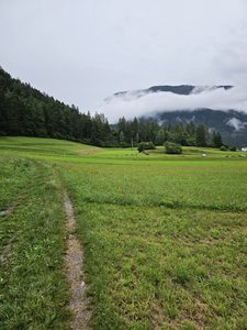 Trotz leichtem Regen hatte ich Lust auf meine Runde