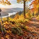 Fit durch den Herbst: Wie Bewegung im Alltag ihren Platz behält